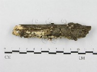 登錄號:F0003986藏品圖，第4張