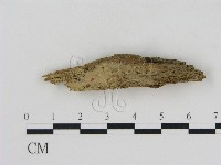 登錄號:F0003988藏品圖，第1張