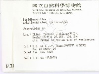 登錄號:F0003989藏品圖，第2張