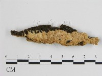 登錄號:F0003989藏品圖，第1張