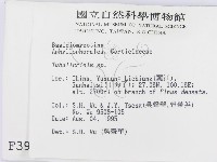 登錄號:F0003990藏品圖，第2張