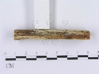 登錄號:F0003990藏品圖，第4張