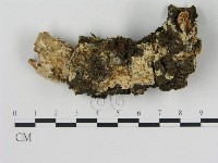 登錄號:F0003992藏品圖，第1張