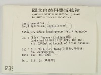 登錄號:F0003993藏品圖，第2張