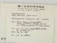 登錄號:F0003994藏品圖，第2張