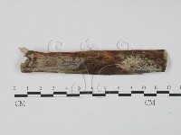 登錄號:F0003994藏品圖，第1張