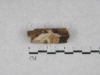 登錄號:F0003995藏品圖，第1張