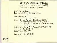 花耳屬藏品圖，第2張