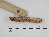 登錄號:F0003999藏品圖，第1張