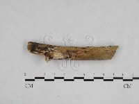 登錄號:F0003999藏品圖，第3張