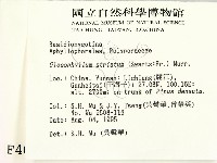 登錄號:F0004000藏品圖，第2張