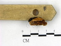 登錄號:F0004000藏品圖，第3張