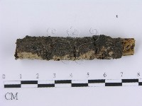 登錄號:F0004004藏品圖，第3張