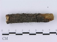 登錄號:F0004004藏品圖，第4張