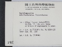 登錄號:F0004009藏品圖，第2張