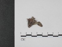 登錄號:F0004009藏品圖，第3張