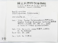 登錄號:F0004010藏品圖，第2張