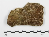 登錄號:F0004010藏品圖，第1張