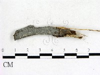登錄號:F0004011藏品圖，第1張