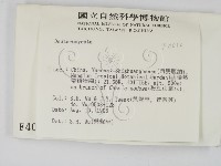 登錄號:F0004012藏品圖，第2張