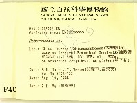 刺皮菌屬藏品圖，第2張