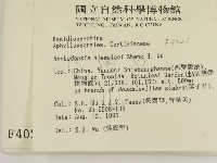 登錄號:F0004021藏品圖，第2張