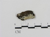 登錄號:F0004021藏品圖，第1張