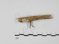 登錄號:F0004022藏品圖，第1張