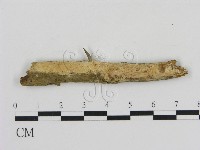 登錄號:F0004023藏品圖，第1張