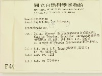 登錄號:F0004024藏品圖，第2張