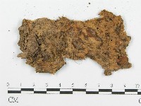 登錄號:F0004026藏品圖，第3張