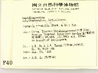 登錄號:F0004027藏品圖，第2張