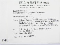 登錄號:F0004028藏品圖，第2張