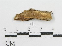 登錄號:F0004028藏品圖，第3張