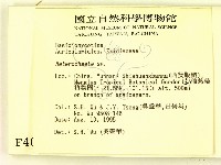 刺皮菌屬藏品圖，第2張