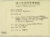 登錄號:F0004032藏品圖，第2張