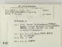 登錄號:F0004033藏品圖，第2張