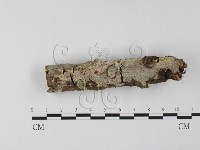 登錄號:F0004033藏品圖，第1張