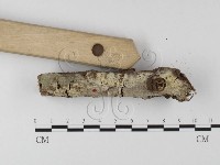 登錄號:F0004033藏品圖，第3張