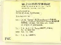 刺皮菌屬藏品圖，第2張