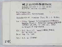 登錄號:F0004035藏品圖，第2張