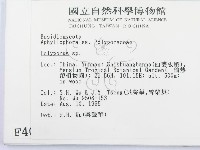 多孔菌屬藏品圖，第2張