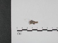 登錄號:F0004037藏品圖，第3張