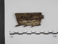 登錄號:F0004041藏品圖，第1張