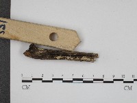 登錄號:F0004042藏品圖，第3張