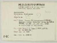 炭角菌屬藏品圖，第2張