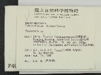 登錄號:F0004044藏品圖，第2張