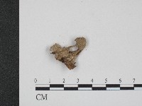 登錄號:F0004045藏品圖，第3張