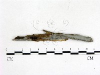 登錄號:F0004046藏品圖，第1張