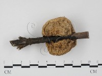 登錄號:F0004049藏品圖，第3張